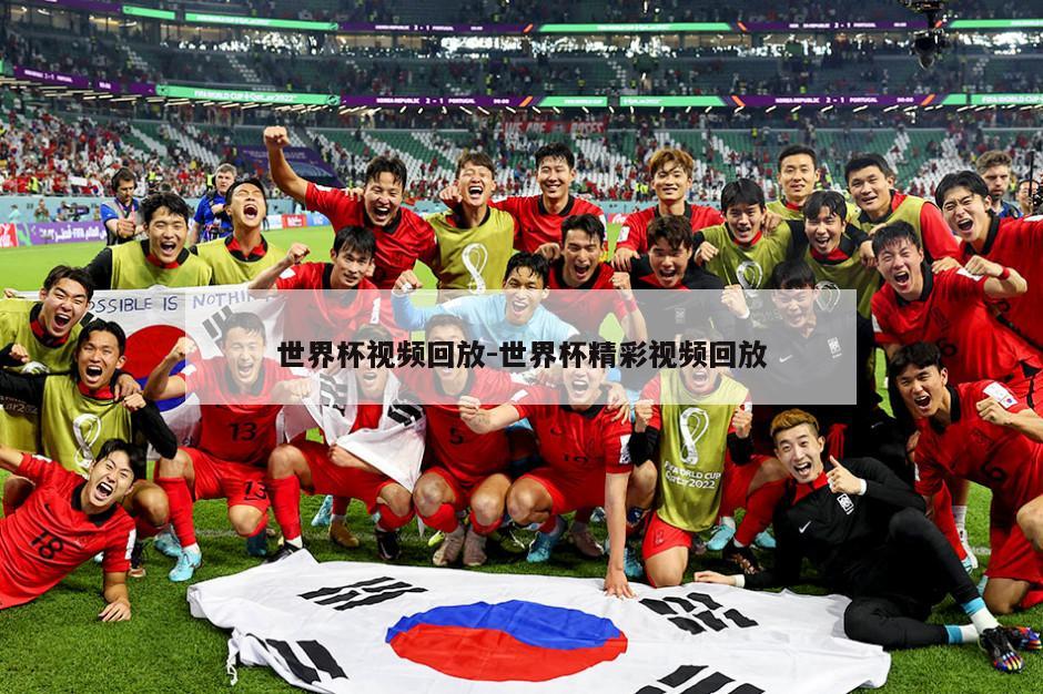 世界杯视频回放-世界杯精彩视频回放