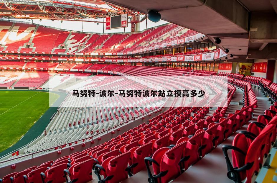 马努特-波尔-马努特波尔站立摸高多少