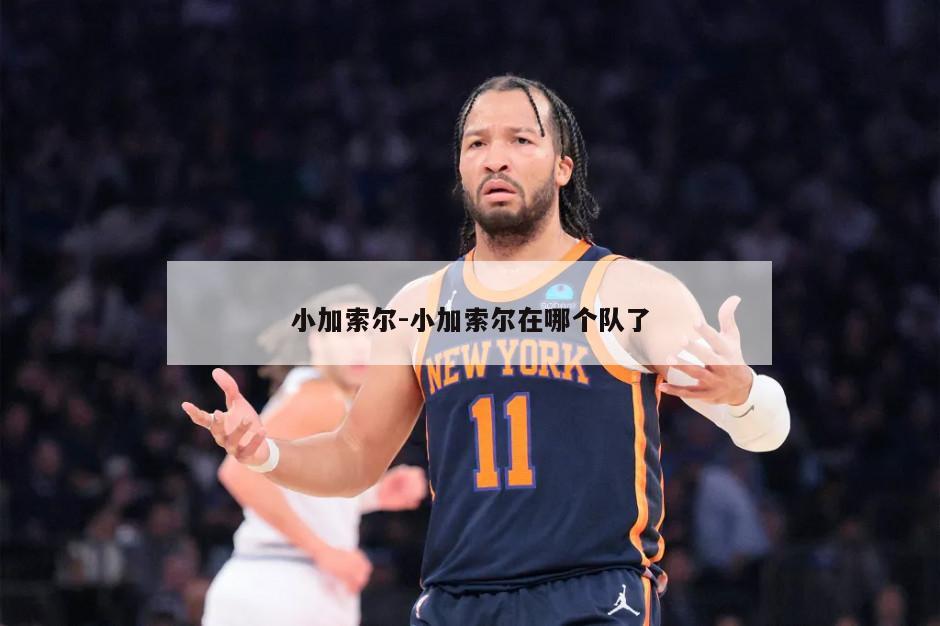 小加索尔-小加索尔在哪个队了