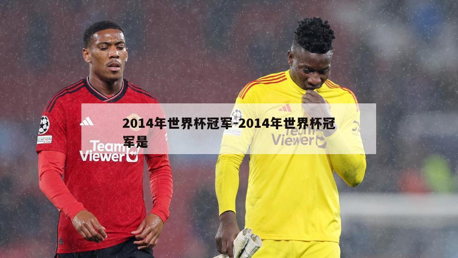 2014年世界杯冠军-2014年世界杯冠军是