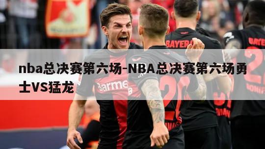 nba总决赛第六场-NBA总决赛第六场勇士VS猛龙