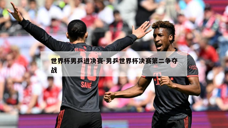 世界杯男乒进决赛-男乒世界杯决赛第二争夺战