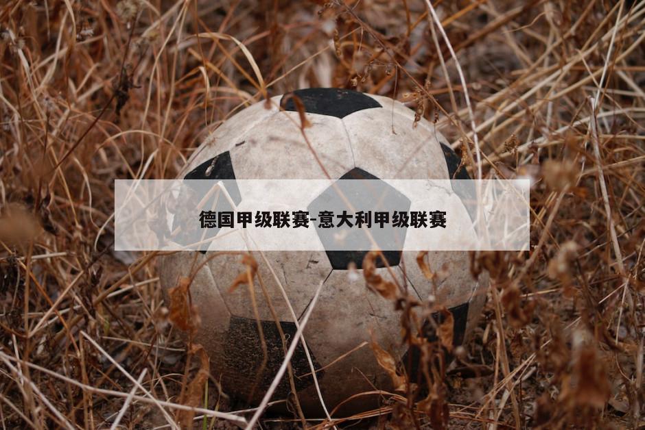 德国甲级联赛-意大利甲级联赛
