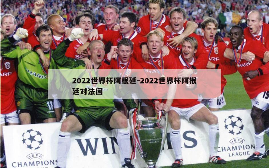 2022世界杯阿根廷-2022世界杯阿根廷对法国