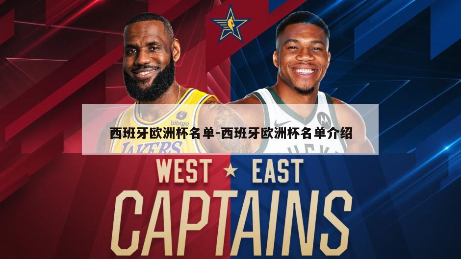 西班牙欧洲杯名单-西班牙欧洲杯名单介绍