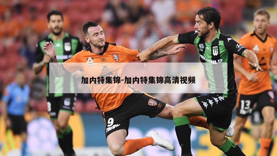 加内特集锦-加内特集锦高清视频