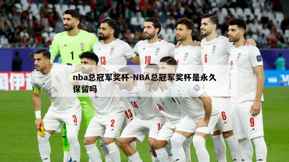 nba总冠军奖杯-NBA总冠军奖杯是永久保留吗