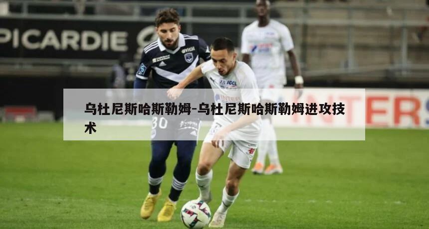 乌杜尼斯哈斯勒姆-乌杜尼斯哈斯勒姆进攻技术