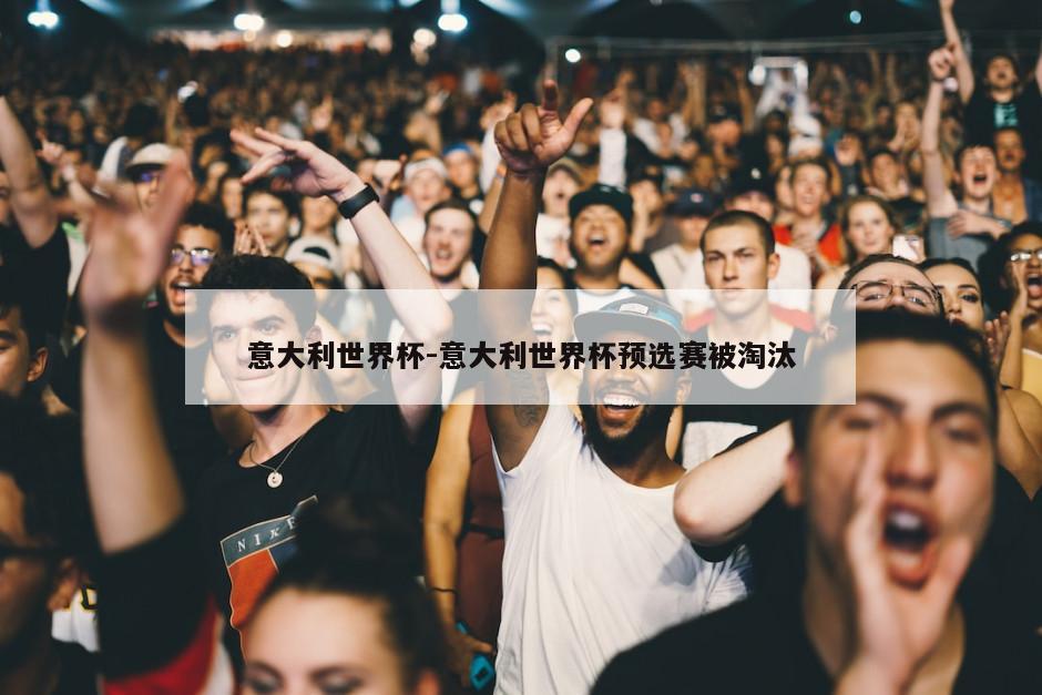 意大利世界杯-意大利世界杯预选赛被淘汰
