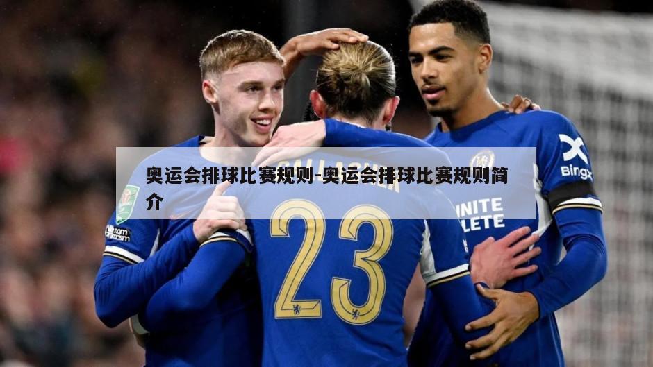 奥运会排球比赛规则-奥运会排球比赛规则简介
