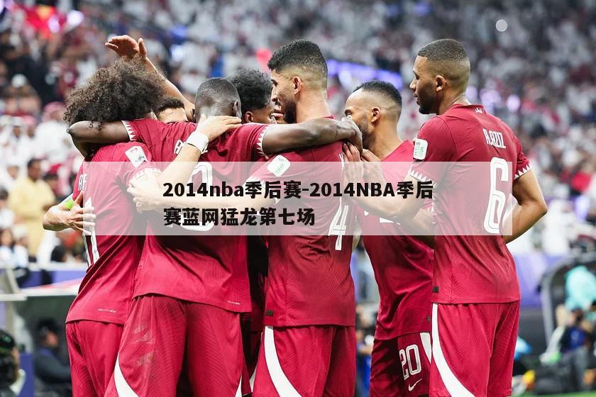 2014nba季后赛-2014NBA季后赛蓝网猛龙第七场