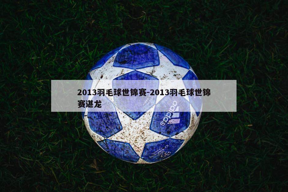 2013羽毛球世锦赛-2013羽毛球世锦赛谌龙