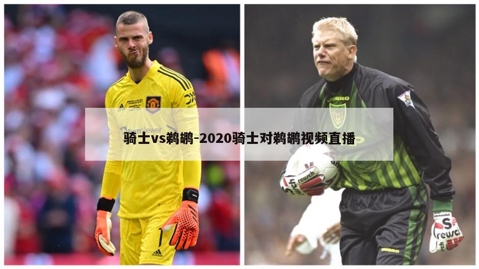 骑士vs鹈鹕-2020骑士对鹈鹕视频直播