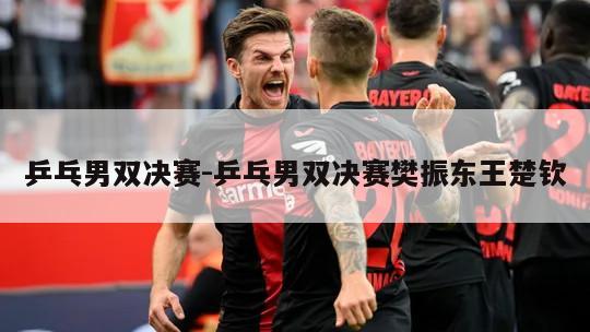 乒乓男双决赛-乒乓男双决赛樊振东王楚钦
