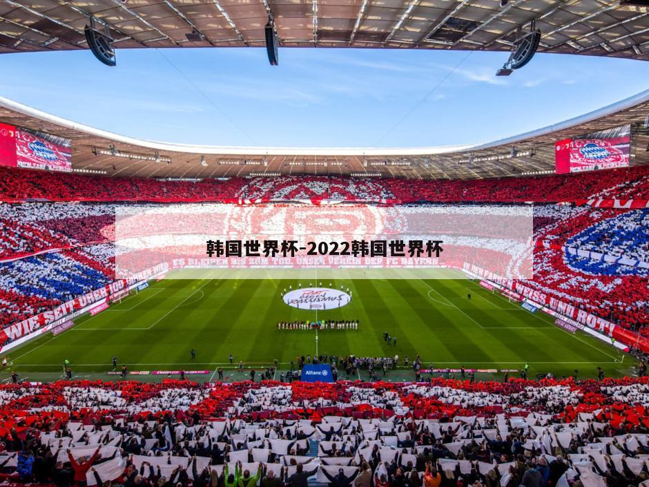 韩国世界杯-2022韩国世界杯