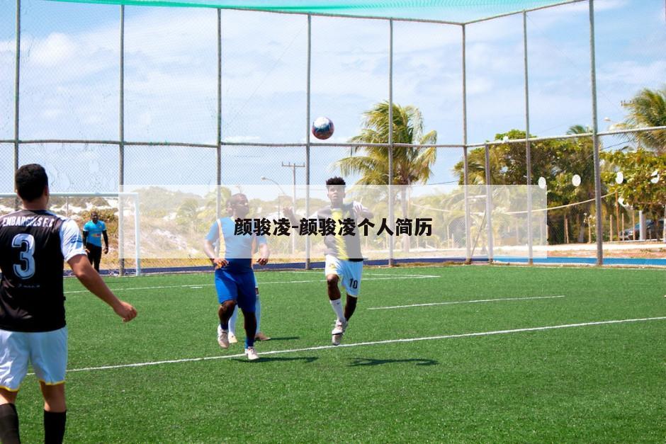 颜骏凌-颜骏凌个人简历