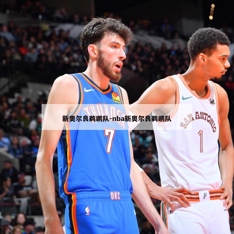 新奥尔良鹈鹕队-nba新奥尔良鹈鹕队