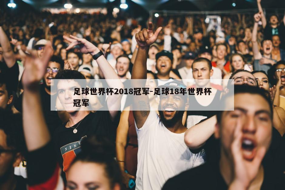 足球世界杯2018冠军-足球18年世界杯冠军