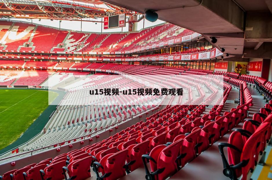 u15视频-u15视频免费观看