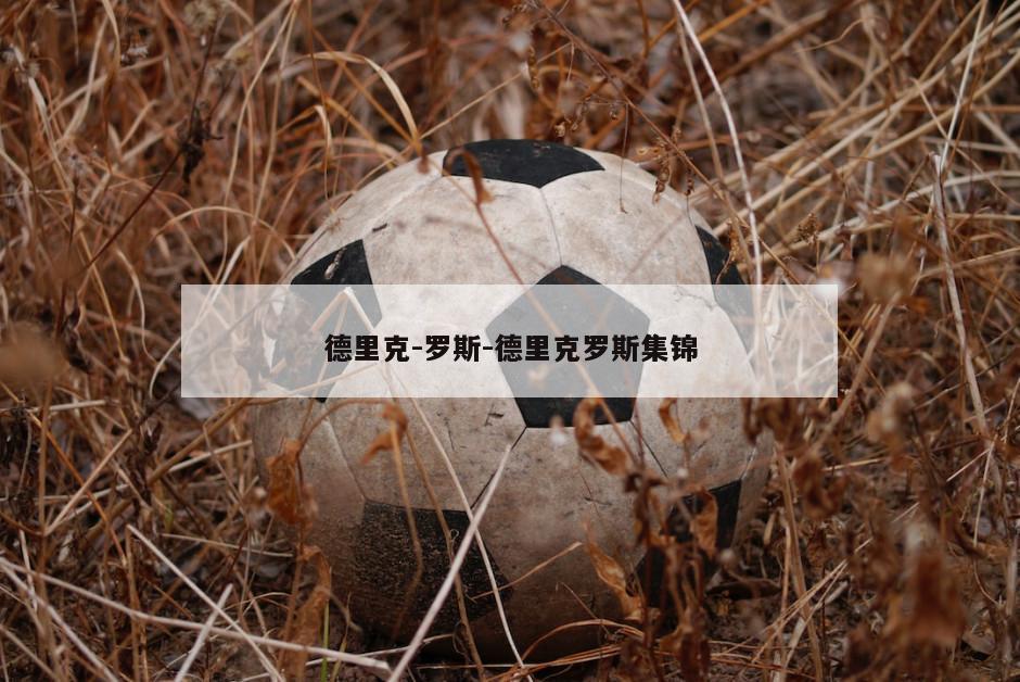 德里克-罗斯-德里克罗斯集锦