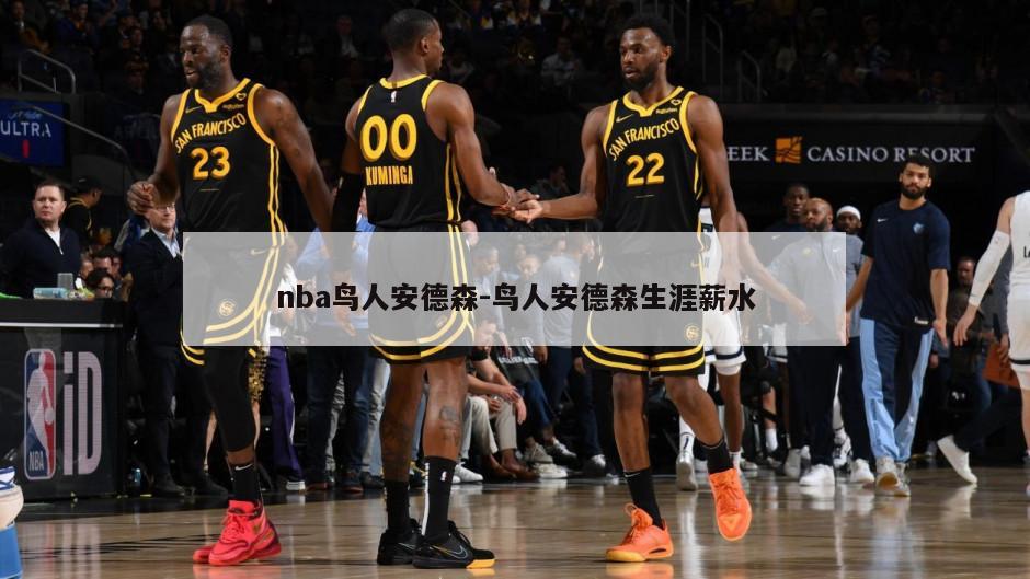nba鸟人安德森-鸟人安德森生涯薪水