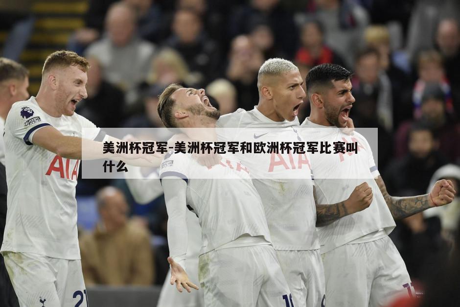 美洲杯冠军-美洲杯冠军和欧洲杯冠军比赛叫什么