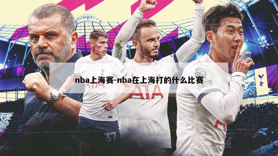 nba上海赛-nba在上海打的什么比赛