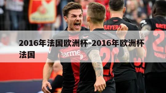 2016年法国欧洲杯-2016年欧洲杯 法国