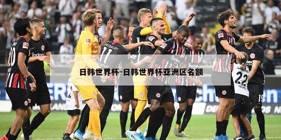 日韩世界杯-日韩世界杯亚洲区名额