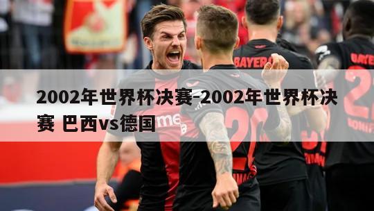 2002年世界杯决赛-2002年世界杯决赛 巴西vs德国