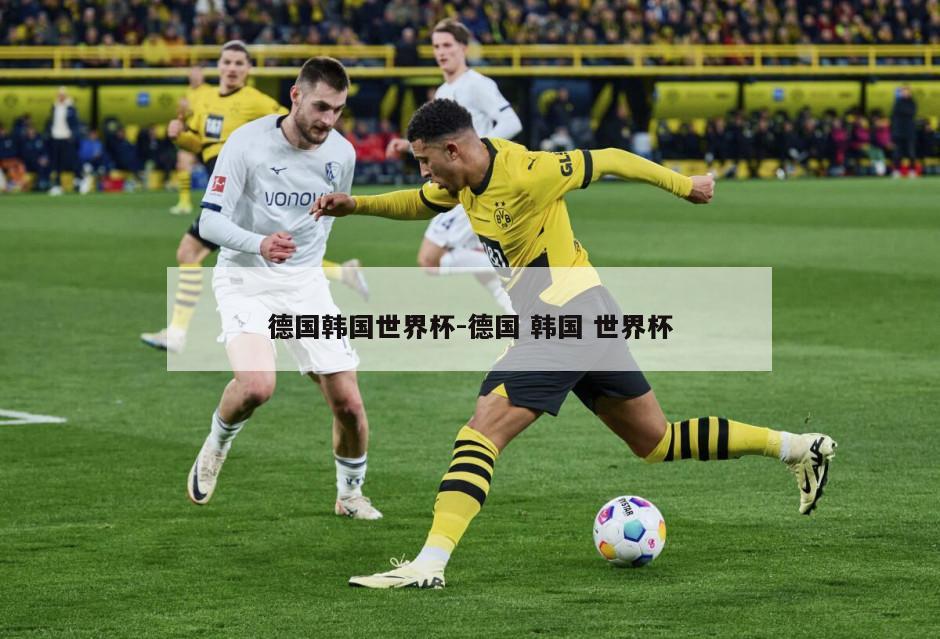 德国韩国世界杯-德国 韩国 世界杯
