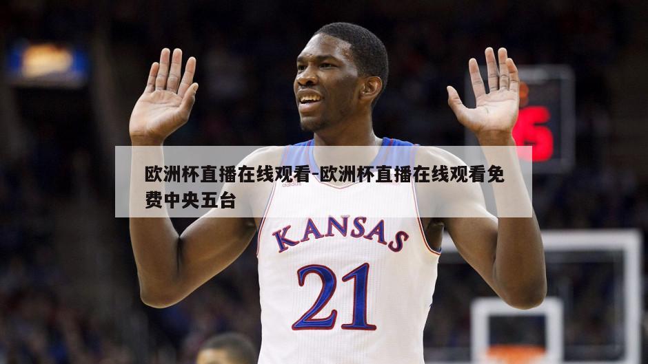 欧洲杯直播在线观看-欧洲杯直播在线观看免费中央五台