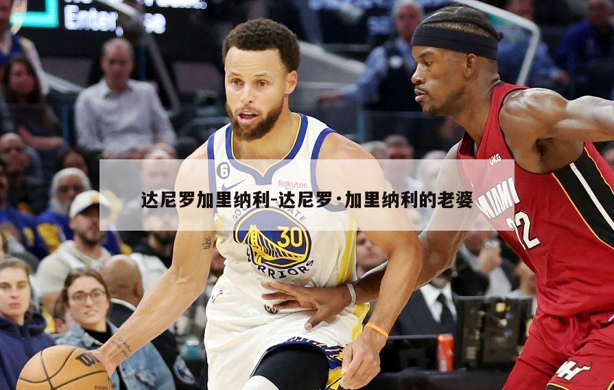 达尼罗加里纳利-达尼罗·加里纳利的老婆