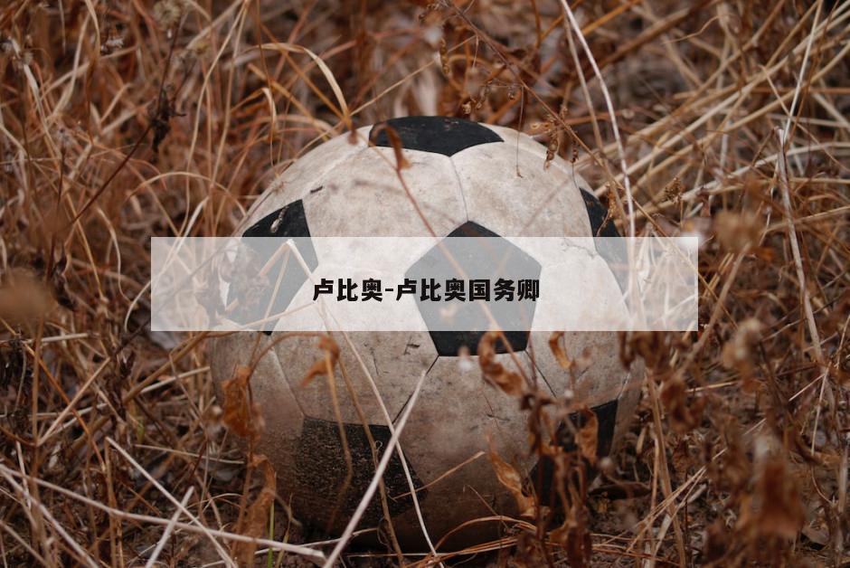 卢比奥-卢比奥国务卿