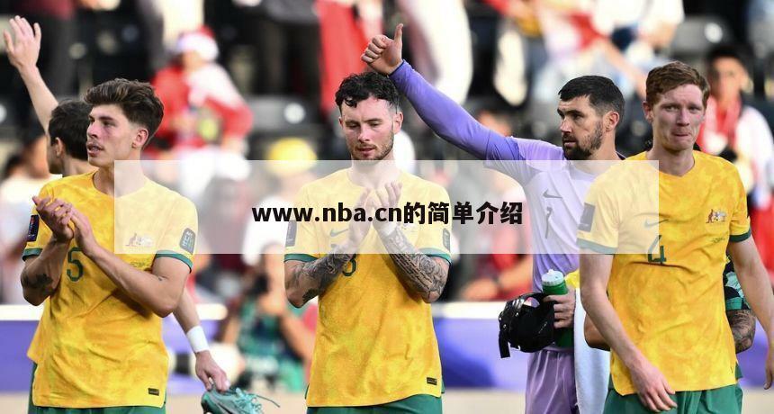 www.nba.cn的简单介绍