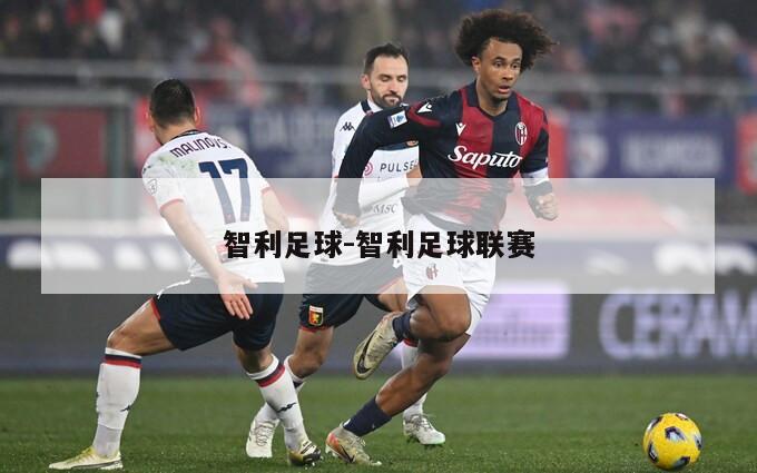 智利足球-智利足球联赛