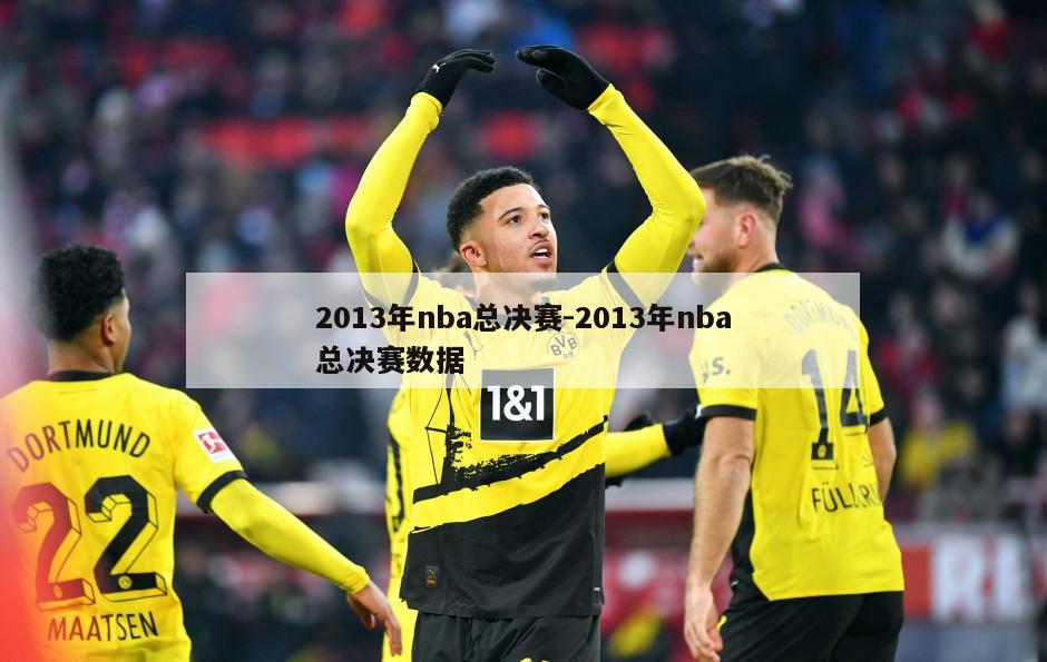 2013年nba总决赛-2013年nba总决赛数据