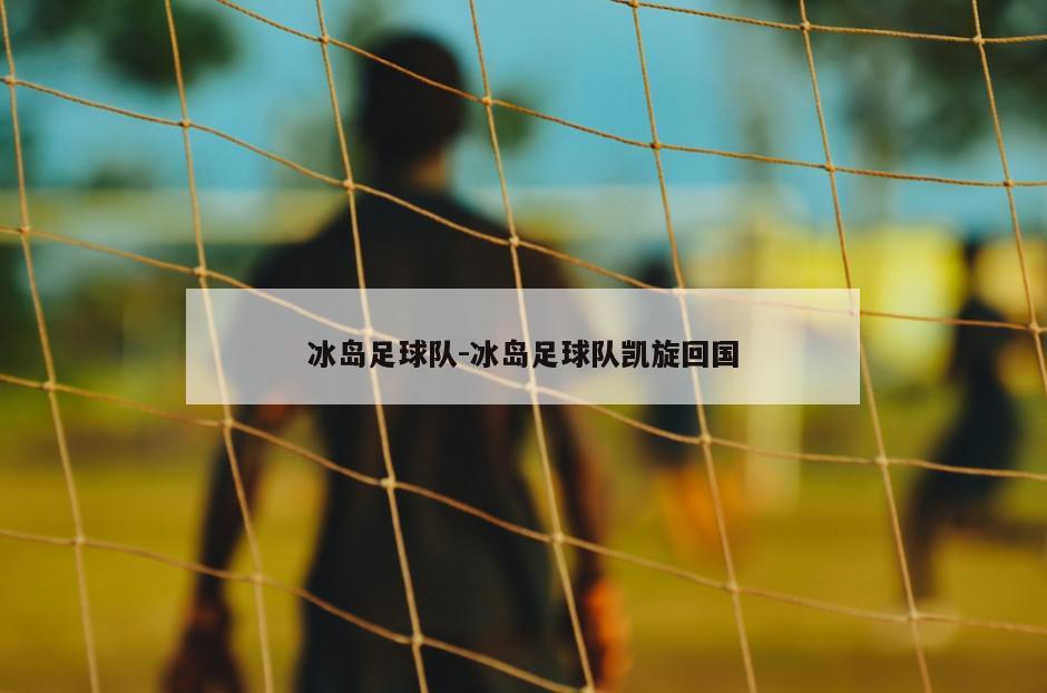 冰岛足球队-冰岛足球队凯旋回国