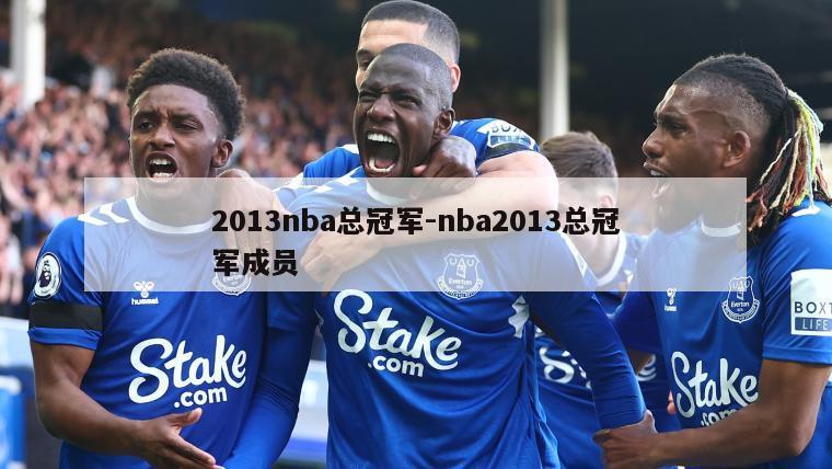 2013nba总冠军-nba2013总冠军成员