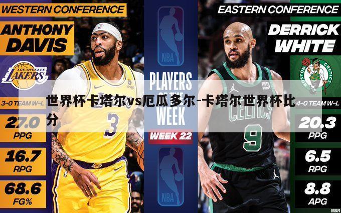 世界杯卡塔尔vs厄瓜多尔-卡塔尔世界杯比分