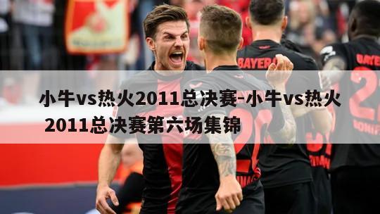 小牛vs热火2011总决赛-小牛vs热火 2011总决赛第六场集锦