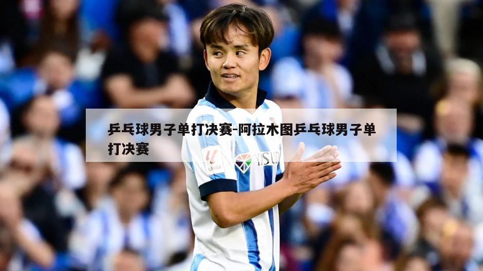 乒乓球男子单打决赛-阿拉木图乒乓球男子单打决赛