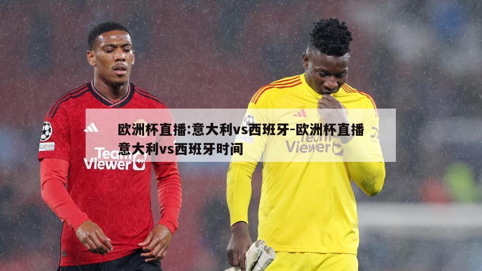 欧洲杯直播:意大利vs西班牙-欧洲杯直播意大利vs西班牙时间